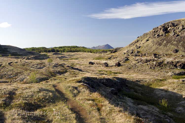 De schitterende natuur van Kálfaströnd bij het muggenmeer Mývatn