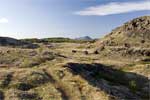 De schitterende natuur van Kálfaströnd bij het muggenmeer Mývatn