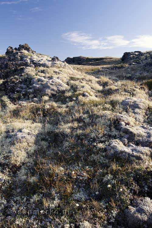 Het magische Kálfaströnd bij het muggenmeer Mývatn bij Reykjahlíð in IJsland