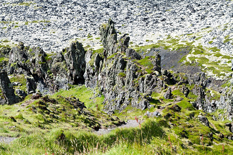 De mooie vormen van lava aan de westkant van Snæfellsnes van de Snæfellsjökull