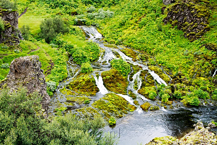 Een grappige wijde waterval in het dal van Gjáin aan snelweg 32