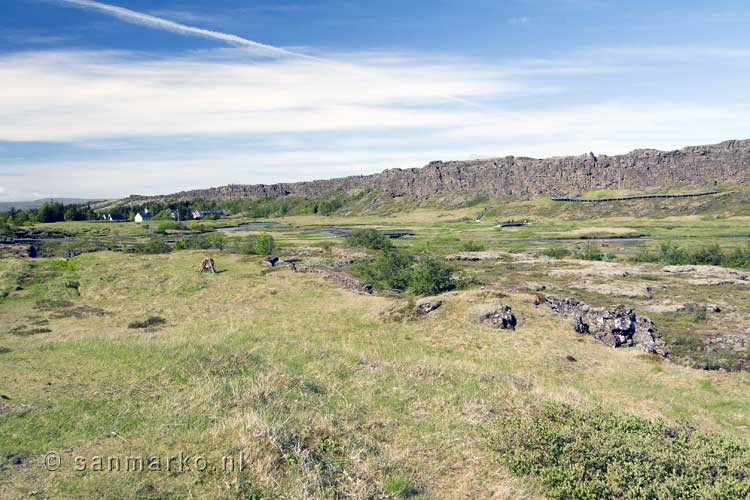 Þingvellir natuur tussen twee tektonische platen in IJsland