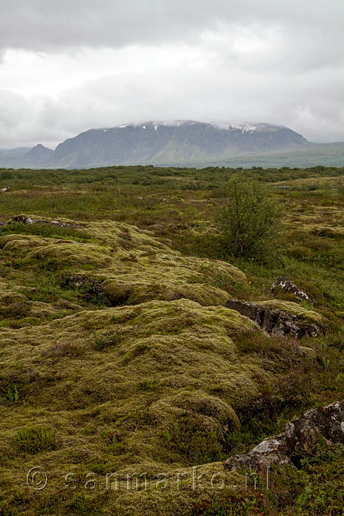 Vanaf het wandelpad door Þingvellir uitzicht op de Hrafnabjörg en de oude lavavelden