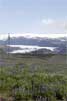 De Mýrdalsjökull gletsjer met een zee van lupines in IJsland