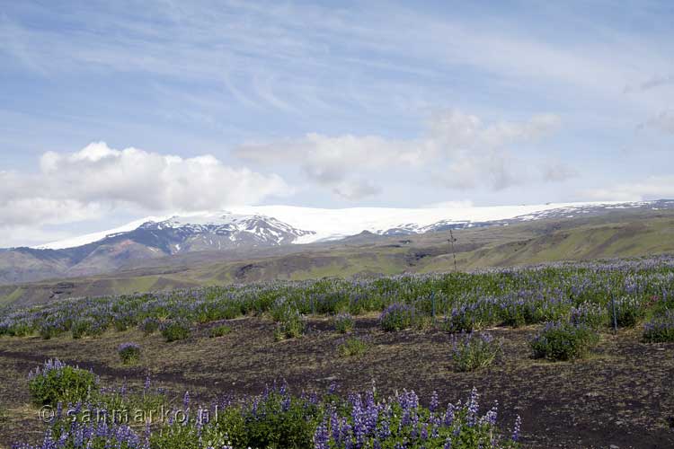 Een schitterend uitzicht op de Eyjafjallajökull gletsjer in IJsland