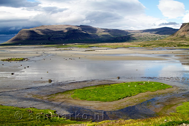 Een schitterend uitzicht vanaf de weg in de Westfjorden in de buurt van Látrabjarg in IJsland