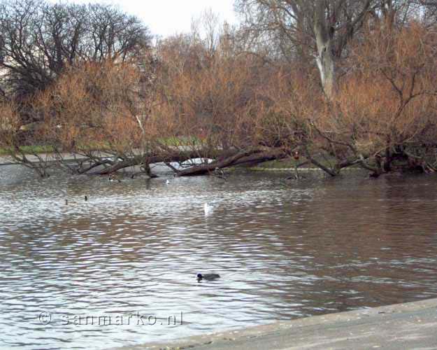 Regent's Park, Londen