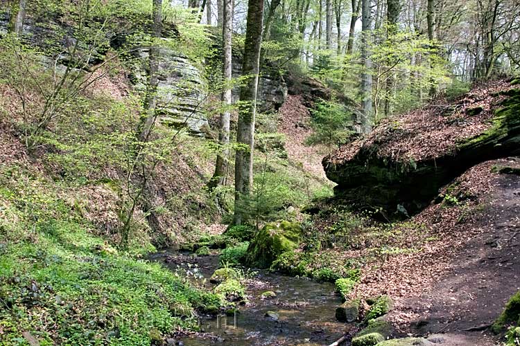 De natuur bij de Haupeschbaach bij Beaufort in Luxemburg