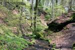 De natuur bij de Haupeschbaach bij Beaufort in Luxemburg