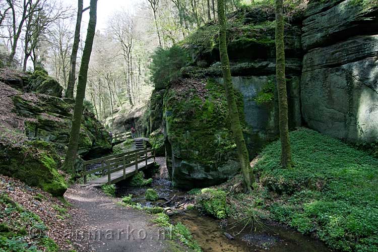 Het wandelpad door de vallei van de Haupeschbaach in Luxemburg