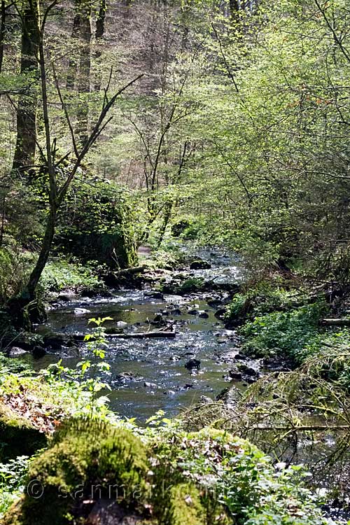 De Haupeschbaach bij Beaufort in Luxemburg