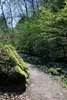 Het wandelpad langs de Haupeschbaach bij Beaufort in Luxemburg