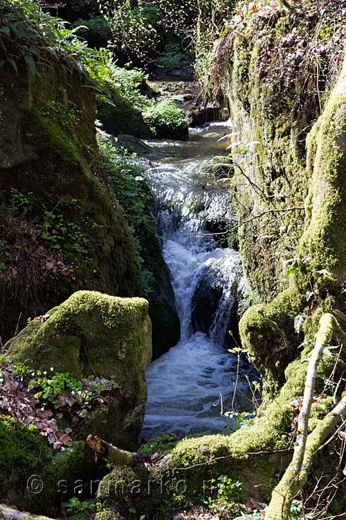 De mooie natuur van de Haupeschbaach in Luxemburg