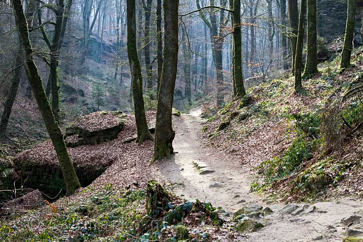 Wandelen door de mooie vallei van de Haupeschbaach bij Beaufort in Luxemburg