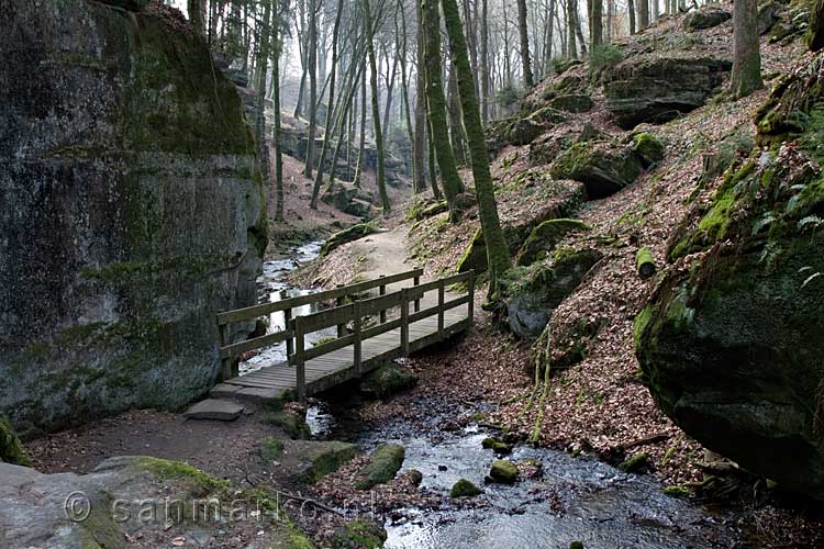 Het glooiende wandelpad met vele bruggetjes langs de Haupeschbaach bij Beaufort