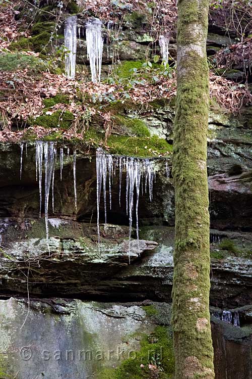 In de winter hangen de ijspegels aan de rotsen bij Beaufort in Luxemburg