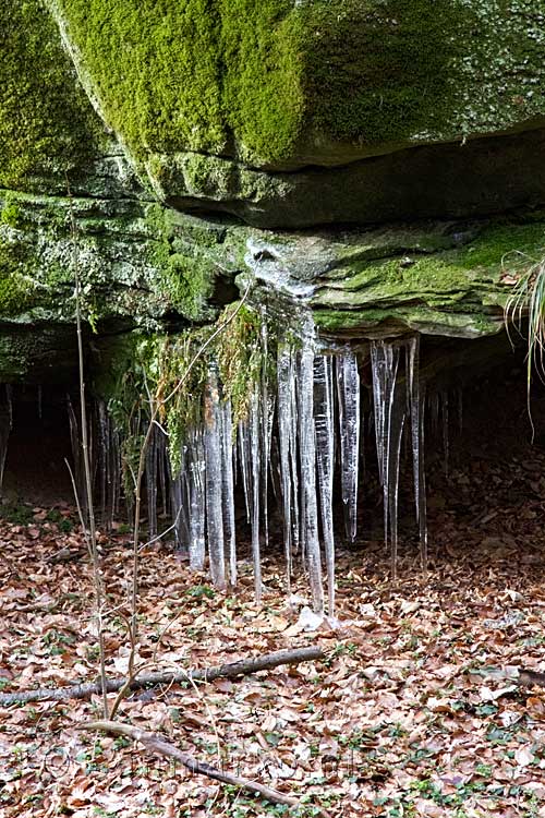 Nog meer mooie ijspegels aan de rotsen langs het wandelpad bij Beaufort in Luxemburg