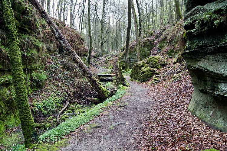 Het begin van het wandelpad door de Roitsbach bij Berdorf