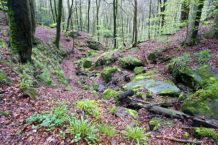 We wandelen door de mooie natuur bij Berdorf in Luxemburg