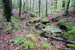 We wandelen door de mooie natuur bij Berdorf in Luxemburg