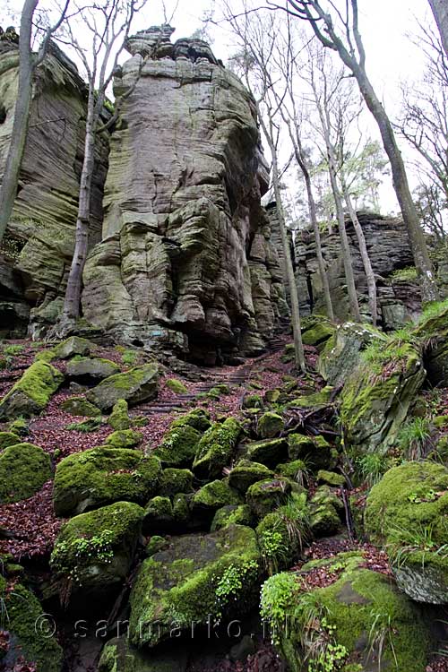 Grote massieve rotsen in Klein Zwitserland in Luxemburg