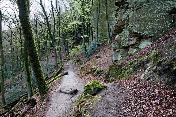 Het wandelpad van de wandeling rondom Berdorf via Kale Kapp en de Aeschbach