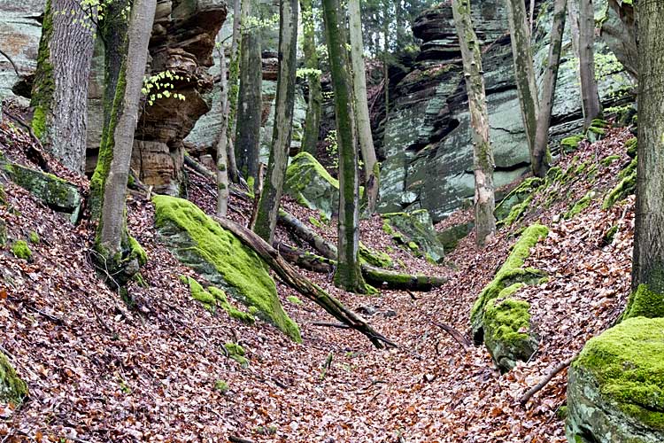 Rotsen in de bossen tijdens onze wandeling bij Berdorf