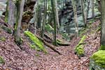 Rotsen in de bossen tijdens onze wandeling bij Berdorf