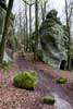 Het wandelpad langs de Aeschbach bij Echternach in Luxemburg