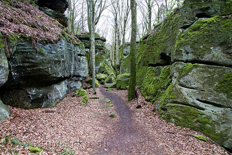 Wandelen door het Labyrinthe bij Echternach bij de Aeschbach