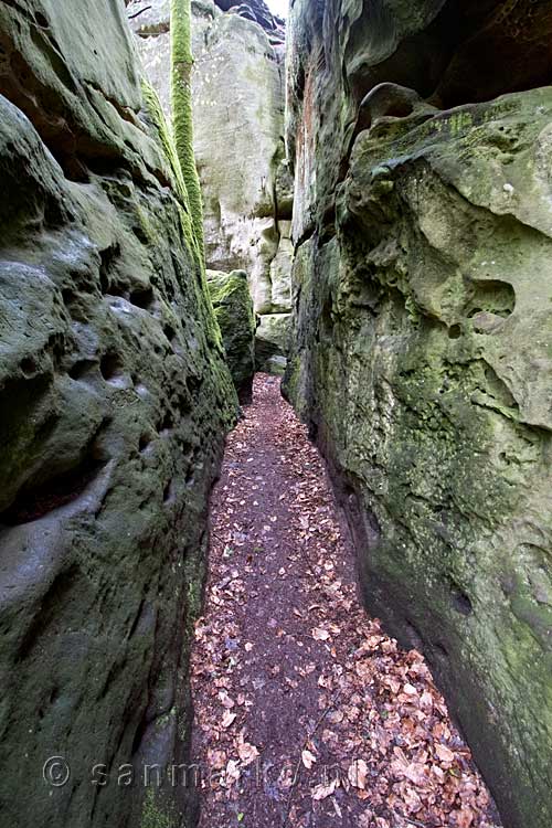 Wandelen door smalle kloven in het Labyrinthe bij Echternach