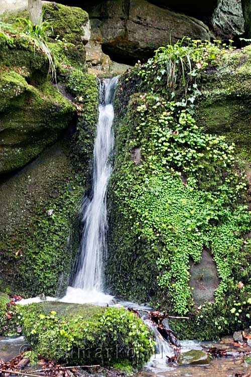 Een kleine waterval die uitkomt in de Aeschbach