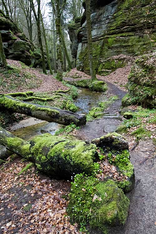 Het wandelpad langs de Aeschbach op de terugweg naar Berdorf