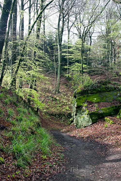 Het wandelpad aan het begin van het Fred Welter Pad door het Müllerthal