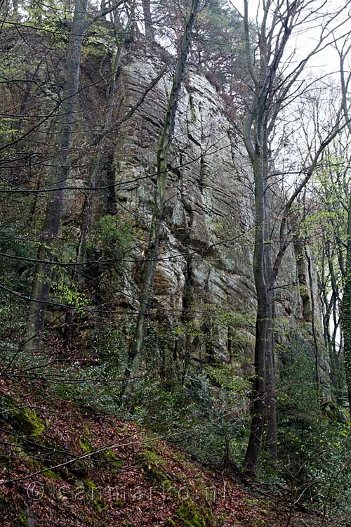 De grote rotsen in het Müllerthal bij Berdorf in Luxemburg