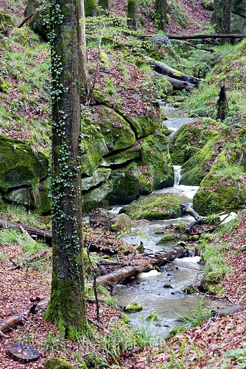 Een klein stroompje langs het Fred Welter Pad in Luxemburg