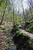 De natuur van het Fred Welter Pad vlakbij Consdorf in Luxemburg