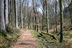 Het wandelpad tussen Consdorf en Schleidgen