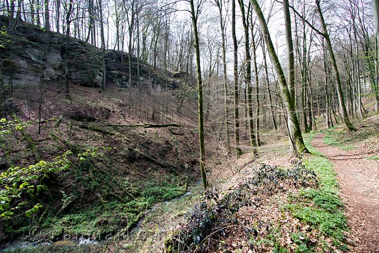 De mooie vallei Juckebësch tijdens de wandeling over het Fred Welter Pad