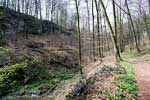 De mooie vallei Juckebësch tijdens de wandeling over het Fred Welter Pad