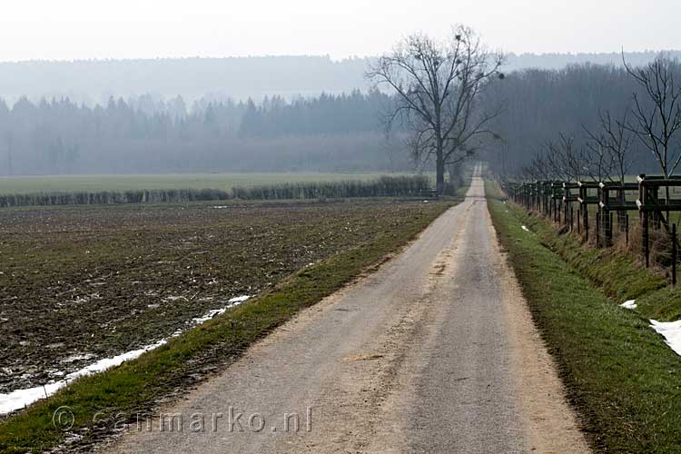 Een lange rechte weg door de weilanden tussen Larochette en Nommern in Luxemburg