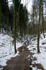 Door een besneeuwd mooi bos wandelen we naar Nommern in Luxemburg