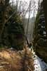 Brede bospaden worden afgewisseld met mooie kloven bij Larochette in Luxemburg