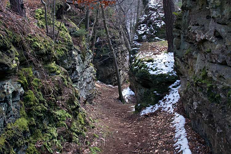 De afwisselende wandelpaden van het Müllerthal Trail Extra Tour A in Luxemburg