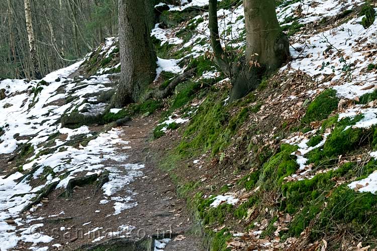 Een onder sneeuw bedekt wandelpad tussen Nommern en Medernach in Luxemburg