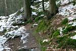 Een onder sneeuw bedekt wandelpad tussen Nommern en Medernach in Luxemburg