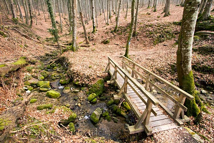 Terug in de mooie natuur bij Müllerthal in Luxemburg