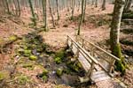 Terug in de mooie natuur bij Müllerthal in Luxemburg