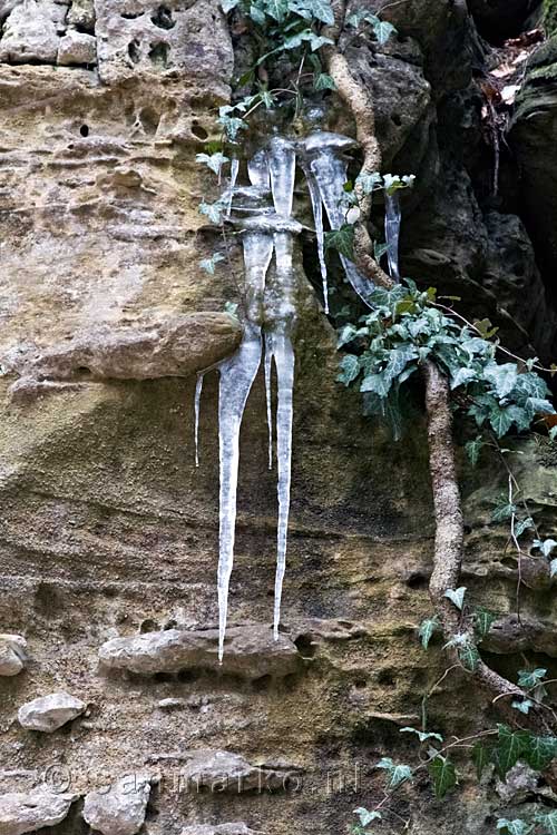 In de winter hangen er mooie ijspegels aan de rotsen bij Müllerthal