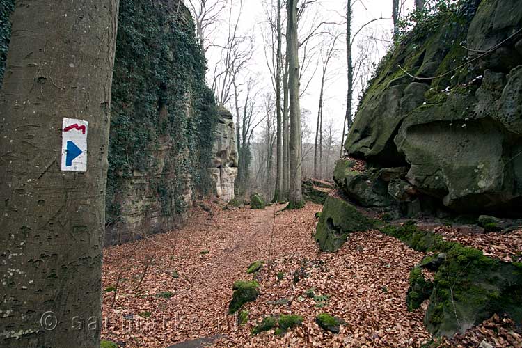 Wandelen door de mooie natuur bij Müllerthal in Luxemburg